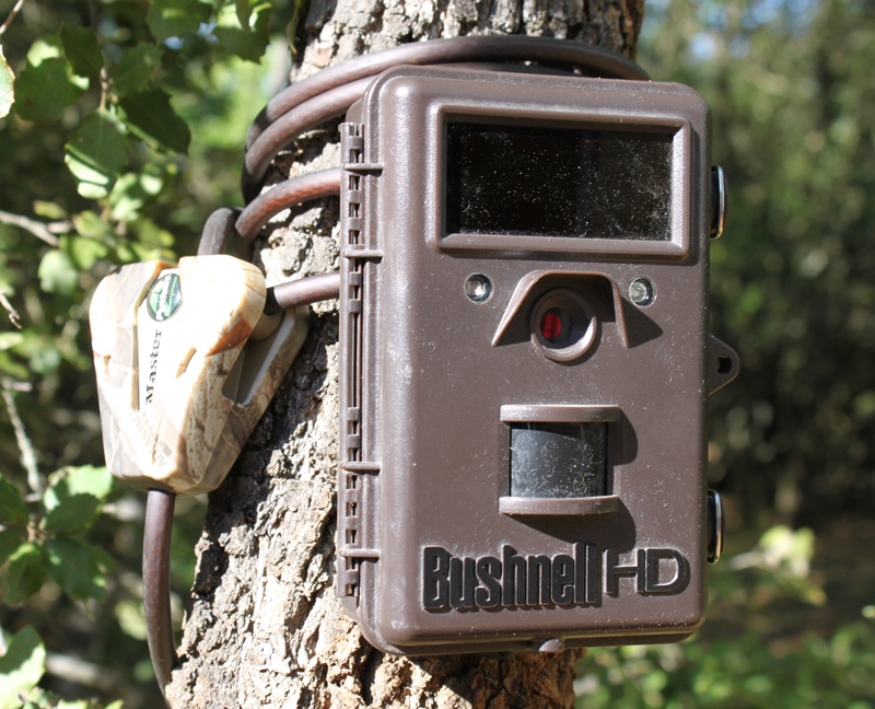 Bushnell Trophy Cam HD Max cran couleur